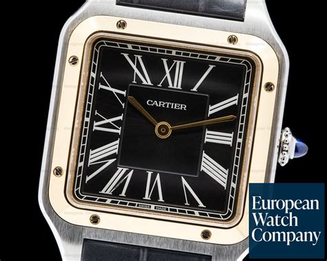 cartier w2sa0015|cartier santos watch movement.